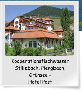 Kooperationsfischwasser Stillebach, Piengbach, Grnsee -  Hotel Post